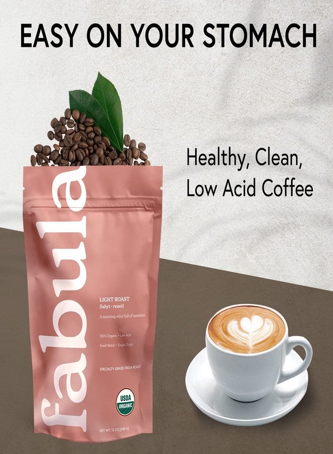 Fabula Coffee Light Roast Whole Beans - Organic - Low Acid - Single Origin - Non-GMO - Mold Free - 12 Ounces - Image 4